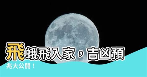 大飛蛾入屋 鼻毛長原因